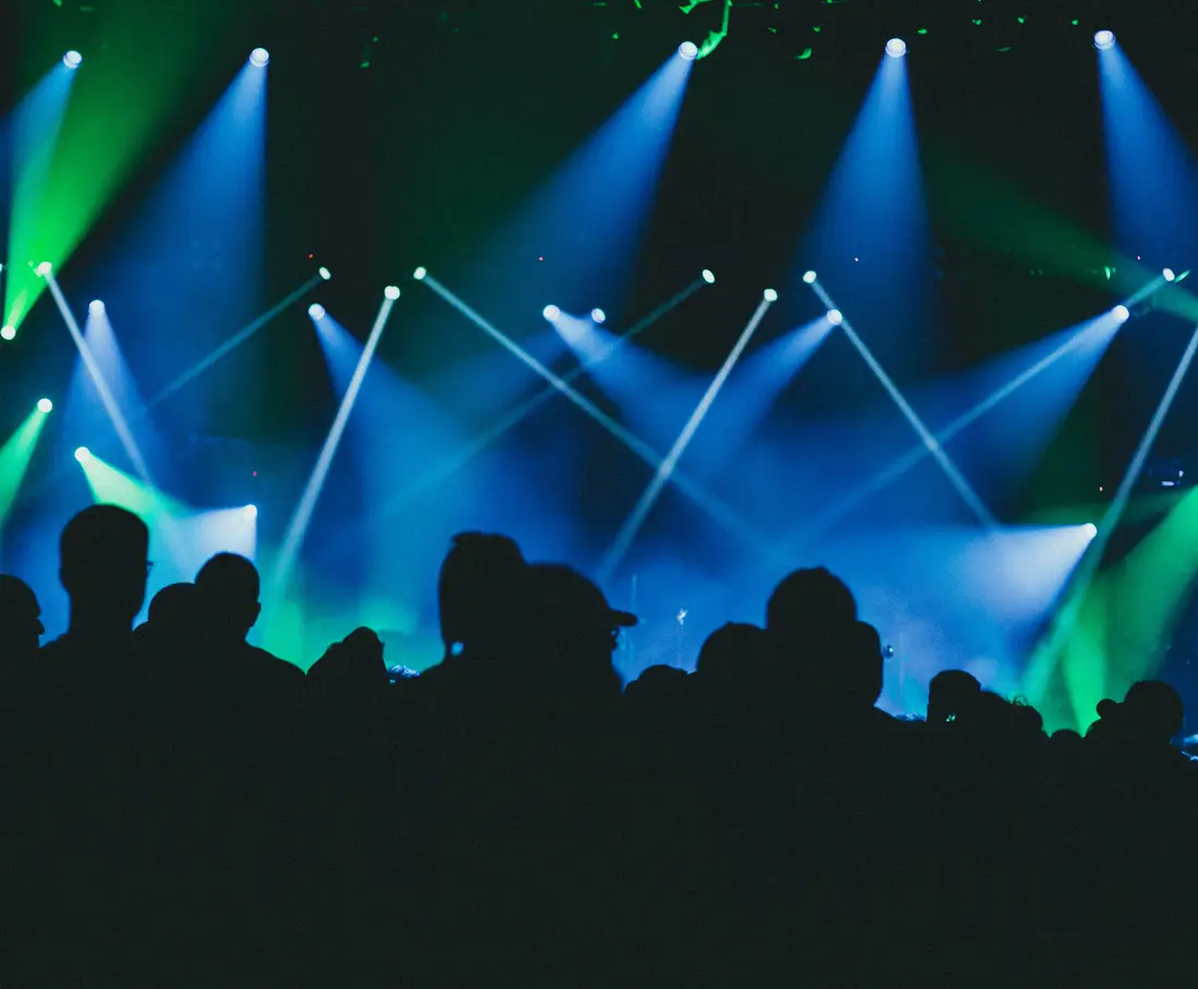 Silhouettes du public lors d’un concert en soirée, photo d’illustration
